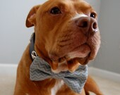 Gray Chevron Dapper Tie