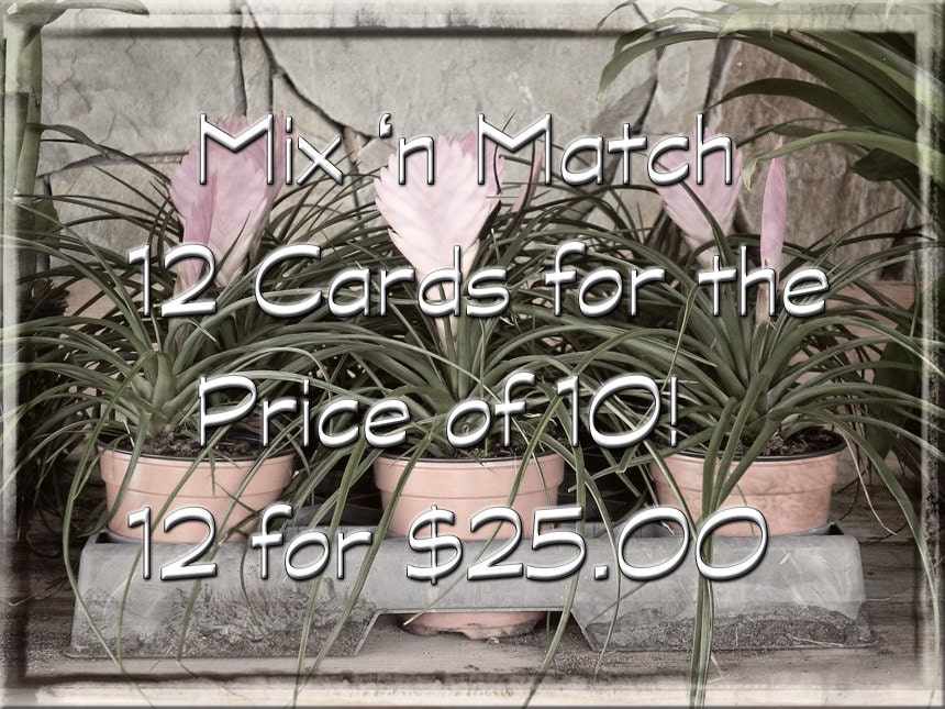 Mix 'n Match - 12 cards for the Price of 10 cards