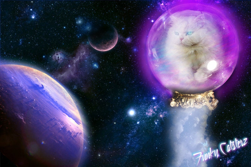 Dystopia - 8x10 Space Cat Print