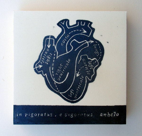 The Living Heart, Relief Print on Wood Panel, encaustic, anatomical heart, latin text, hand pulled print, original art