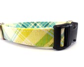 AMMADON 2 Dog Collar HANDMADE
