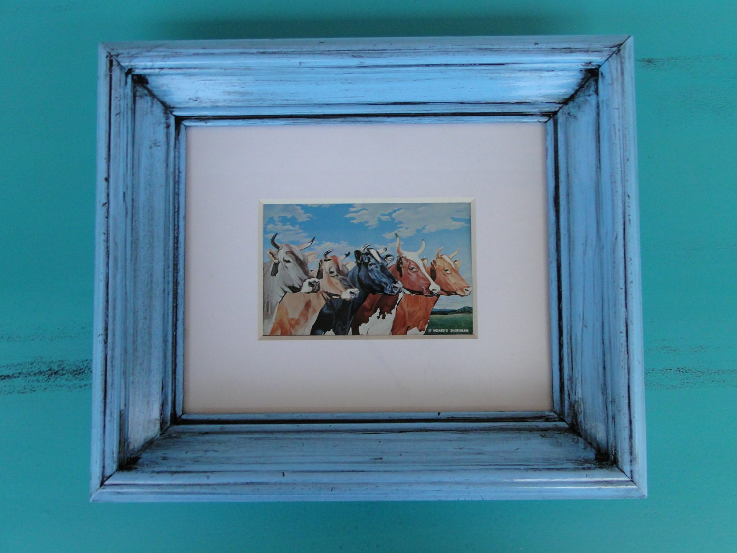 Framed Art Print "Five Cows" Vintage postcard in painted Blue frame with mat