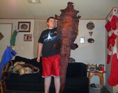 real animal bone Alligator taxidermy hide skin gator leather part