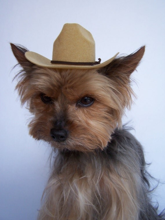 Dog cowboy Hat for x small breed Cowboy hat by Frillypaws on Etsy