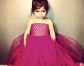 Custom Made TuTu Dress