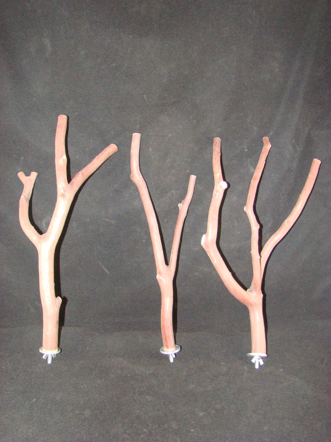Manzanita Multibranch Bird Perches, Set of Six with Hardware