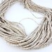 Heishi Shell  Beads-- Penshell Heishi Beads--  full strand 26" (BB-73)