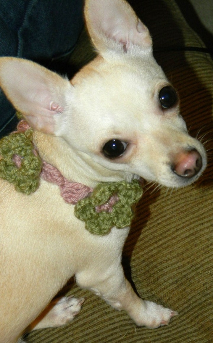 Crocheted Glamour Dog Collar--Forget Me Not Pink and Green