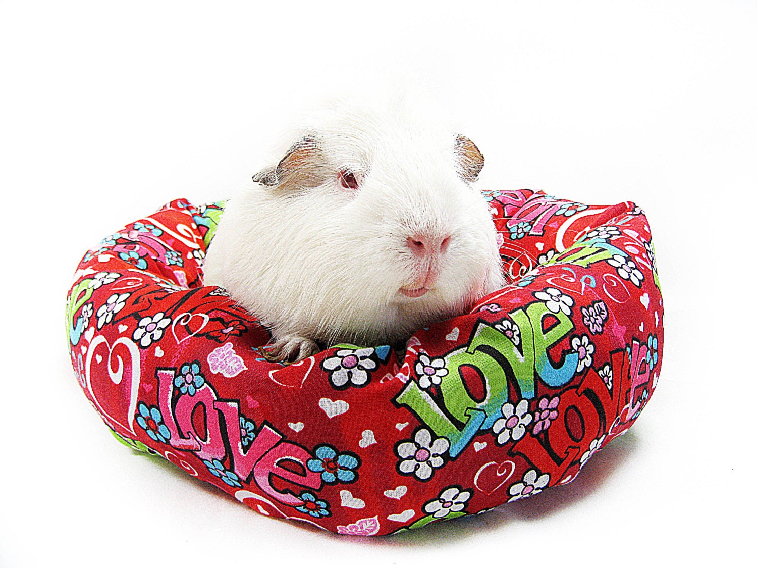 Love Love Guinea Pig Cuddle Roll (Blue base)