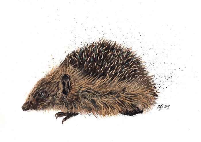 Original of a Hedgehog "Brillo" Mixed Media Painting