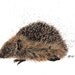 Original of a Hedgehog "Brillo" Mixed Media Painting