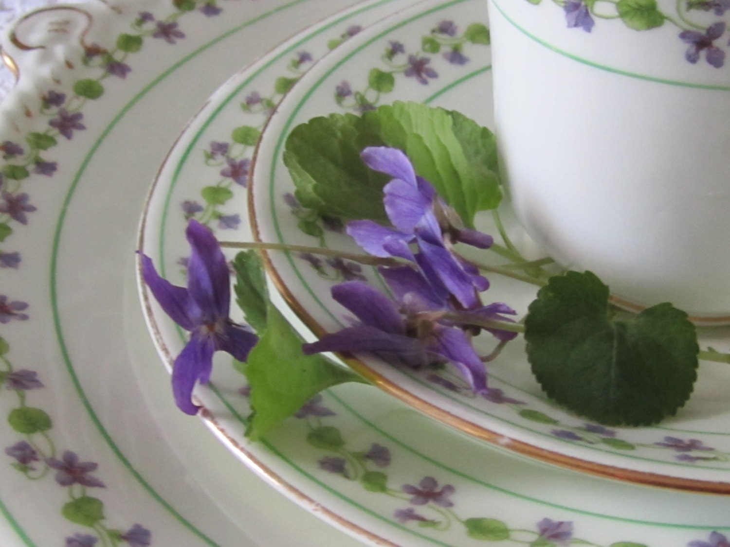 Tea for Two  Adderly of England 2 teacups 2 saucers 2 dessert plates 2 luncheon plates Delicate violet border