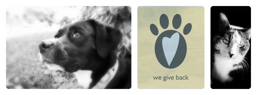 Handmade Personalized Pet Id Tag - Unique Pet Id Tag - Wire Wrapped - Aluminum Backer
