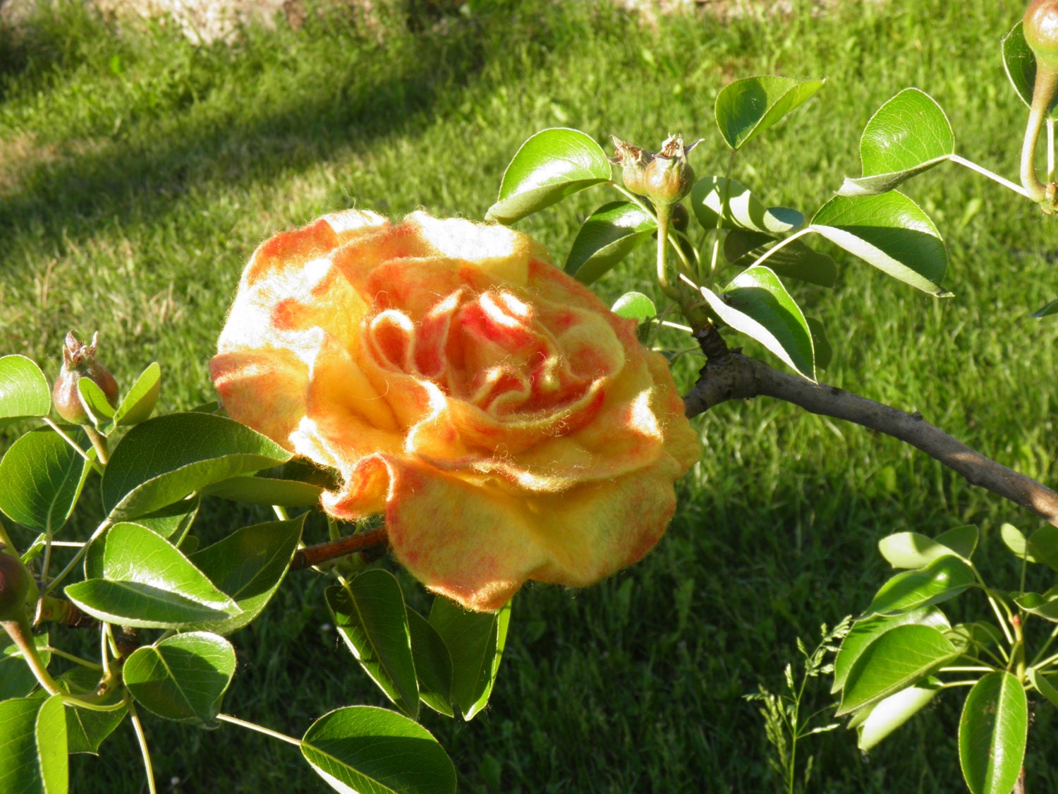 felted flower brooch yellow rose,  felt rose pin, wool felt flower brooch