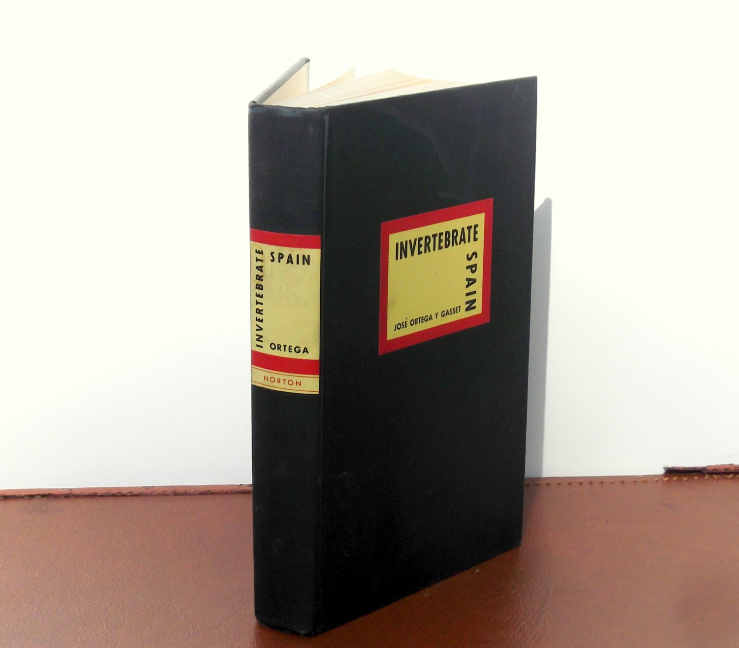 First Edition Invertebrate Spain (Hardcover)