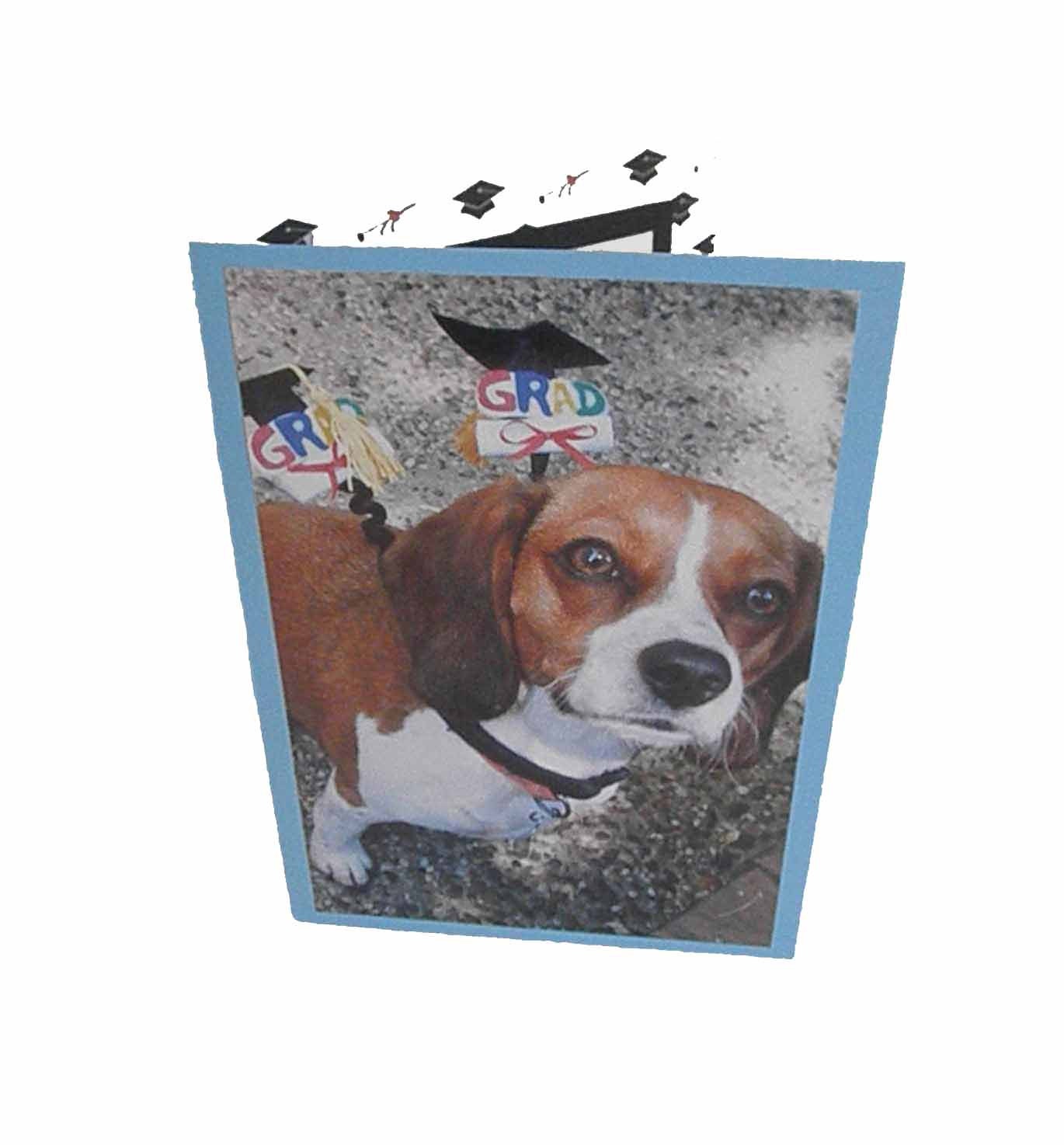 Beagle Graduation Card, Graduation Cards, Dog Graduation Cards