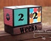 Pregnancy Countdown Blocks in Bright Colorful Prints