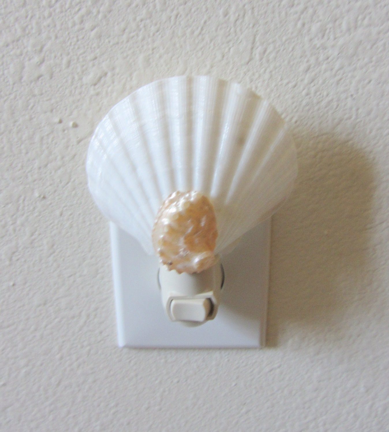 Beach Decor - Scallop and Pearl Abalone Shell Night Light