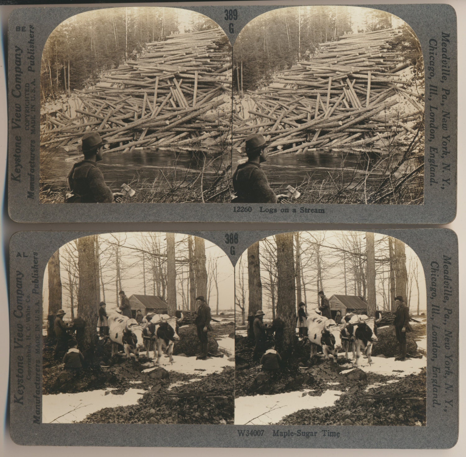 14 New England Stereoviews Cranberries Maple Sugar