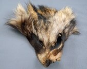 Fur Scraps Finn RACCOON Fur Face RF3513 Arctic Store Arktika Russia