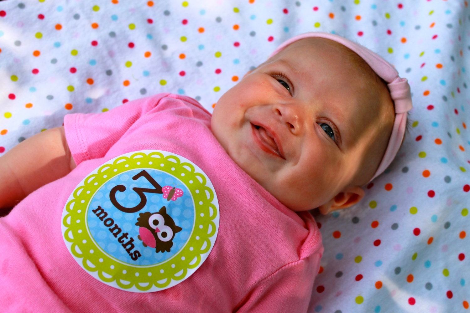 Month to Month Onesie Stickers for Baby Girls...Pink Owls Baby Shower Gift  for New Mom
