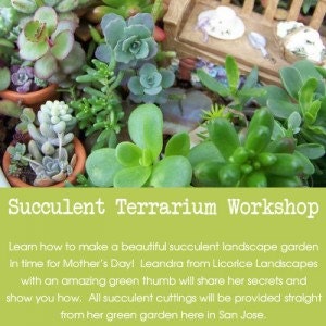 Succulent Terrarium Workshop- Downtown San Jose May 4, 2013