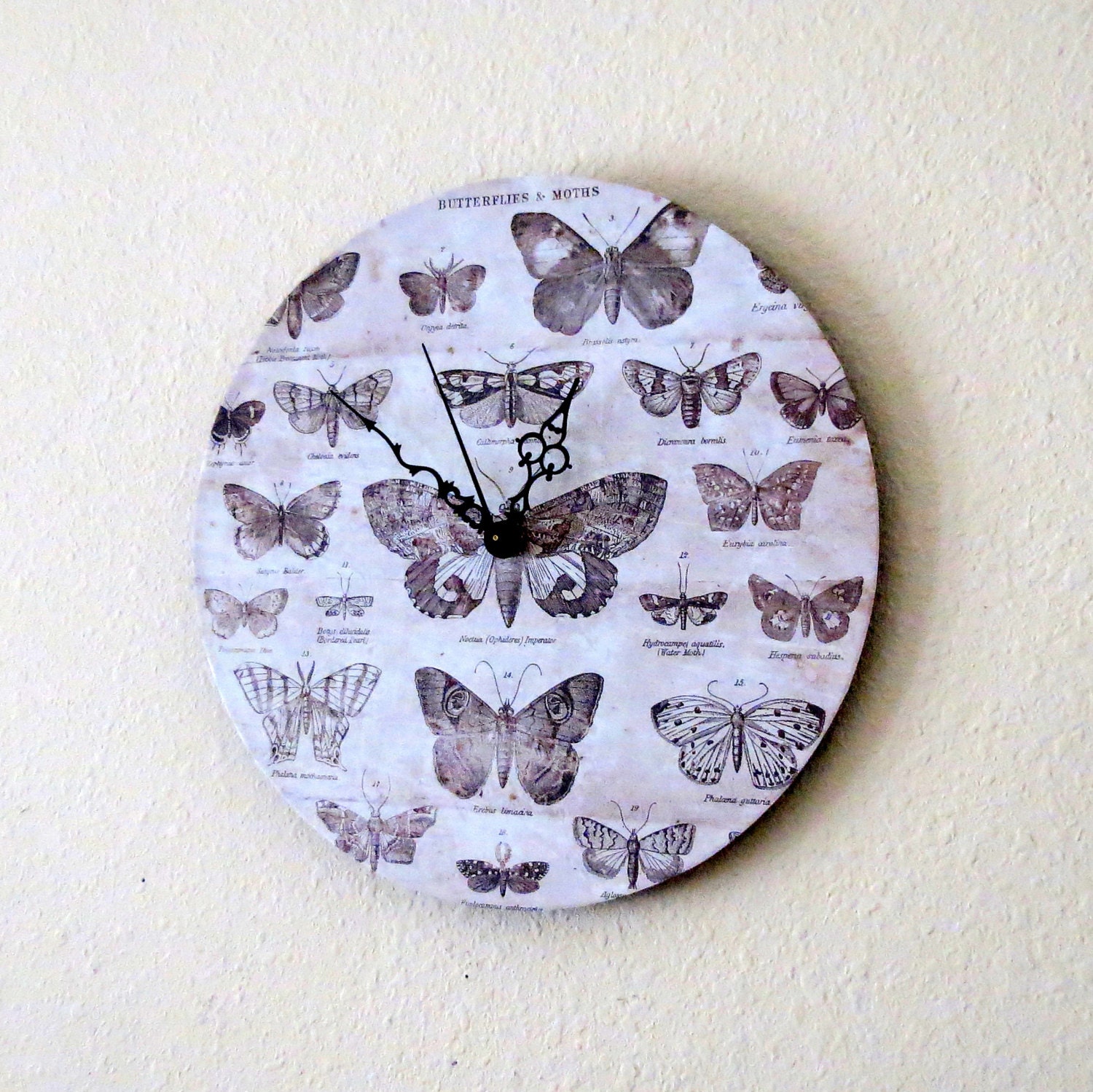 Unique Wall Clock, Home Decor, Rustic Clock, Decor and Housewares, Kitchen Clock, Home and Living, Butterflies, Unique Gift