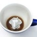 Triceratops Creature Cup - Large