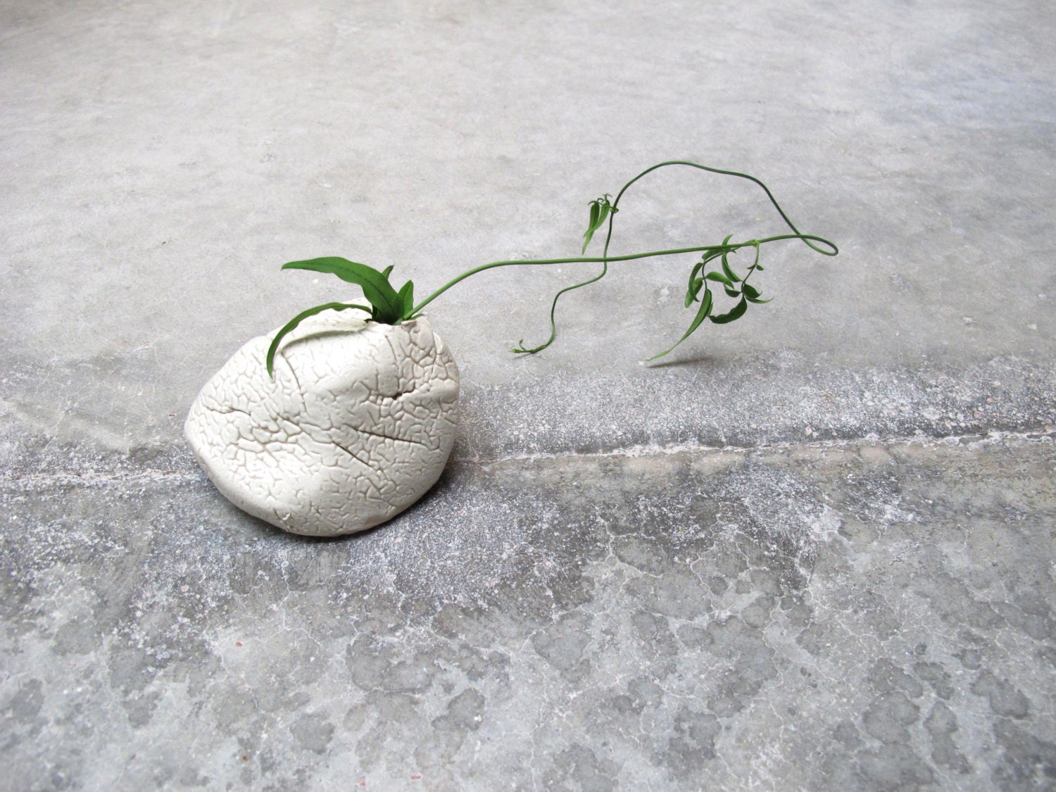 Bud Vase