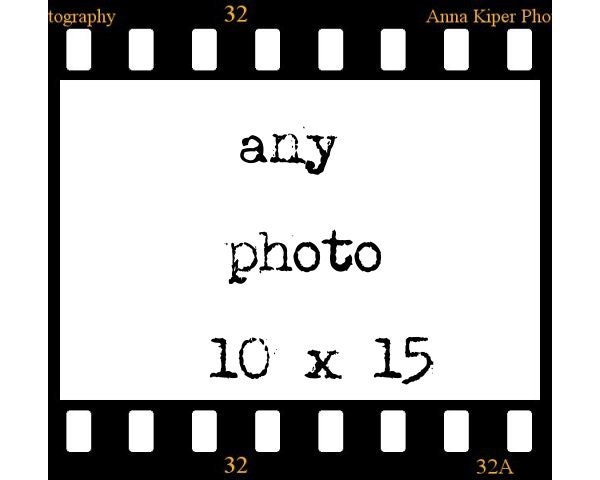 Any 10x15 fine art photography print, customized print, cheap wall decor idea, french country decor, photo art wallF R E E  SHIPPING