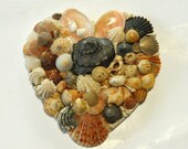 Seashell Embellished Heart Wall Decor, Sea Shell Assemblage Art, Wall Sculpture, Beach Cottage Wall Hanging Home Decor