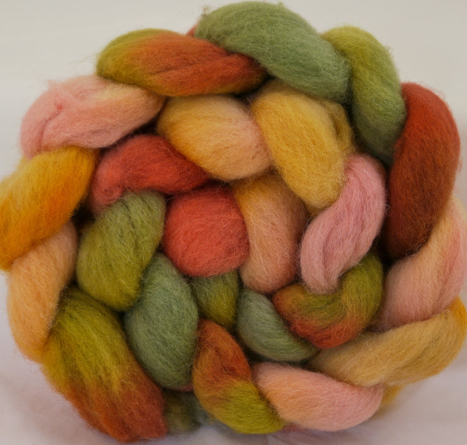 Shetland dyed fiber - Parrot Tulip ( 4.1 oz. ) shetland