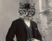 Nic - Vintage 5x7 Cat Print - Anthropomorphic - Altered Photo - Funny Cat Print - Photo Collage Art - Whimsical Art - Gift Idea