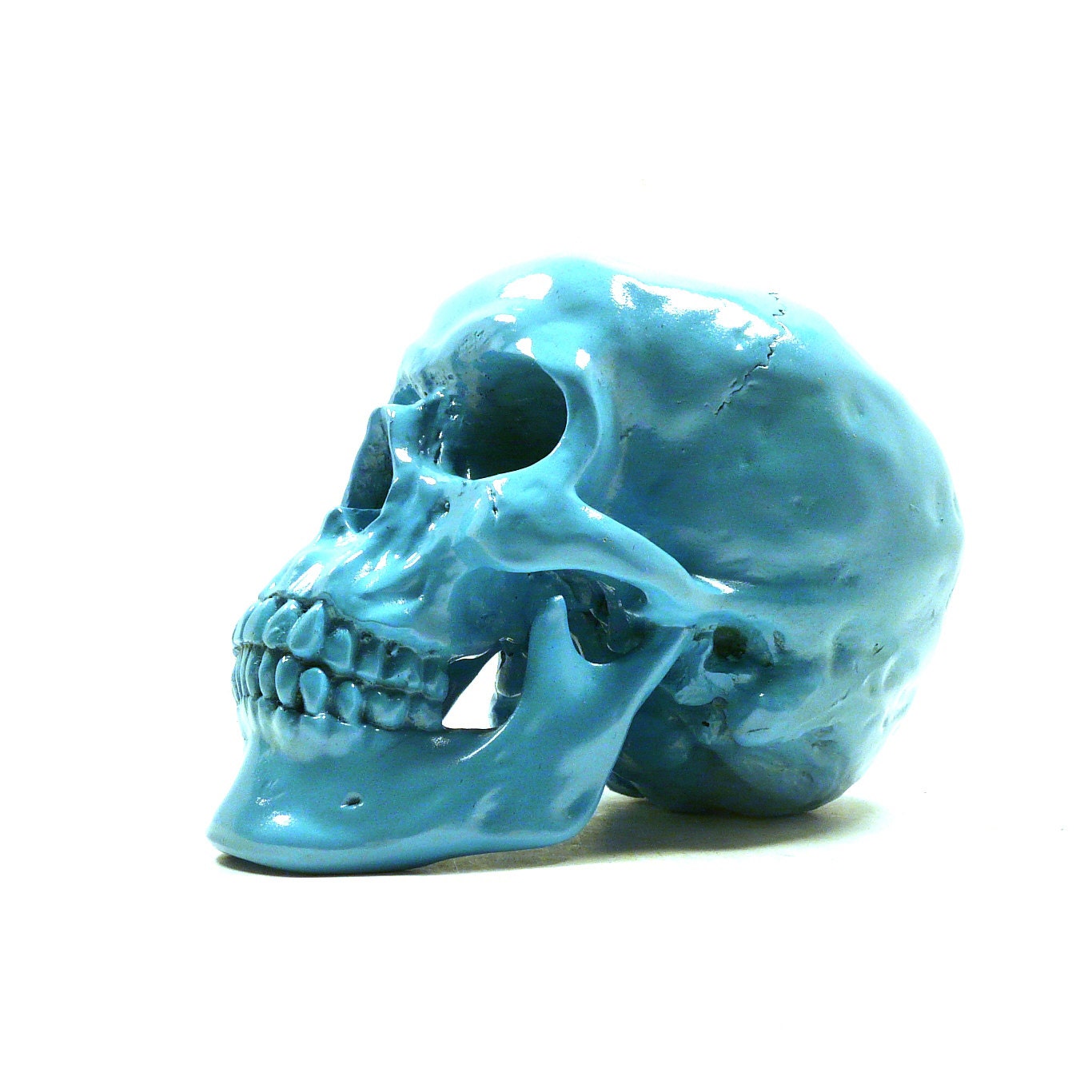 skull home decor, skulls, hipster style, anatomy, home decor, skull head, odd, creepy, skeleton, human head