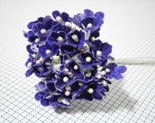 Forget Me Nots Flowers - Blue Berry
