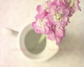 Stocks pretty stilllife photo print - whimsical fine art nature photography, flowers, 8x8