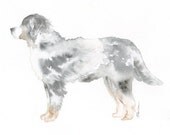 Bernese Mountain Dog Painting - 8x10 Watercolor Silhouette
