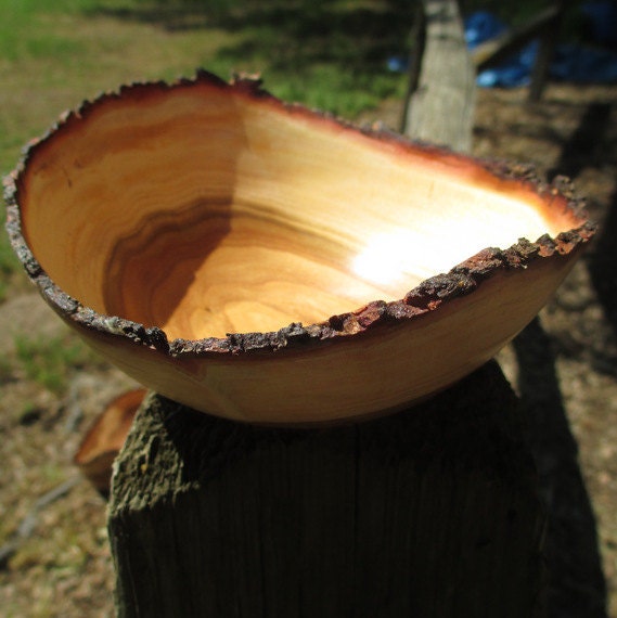 Natural edged almond bowl,  2 1/2" tall,  6 1/2" by 5" diameter, 1/4 of an inch thick, numbered B-22