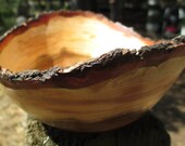 Elegant natural edged almond bowl 6 1/2" by 5 1/2" diameter, 3" high numbered B-23