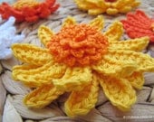 Instant Download PDF Easy Tutorial Crochet Gerbera Daisy Pattern, Gerber Daisies Flowers 3d, Lyubava Crochet Pattern number 79