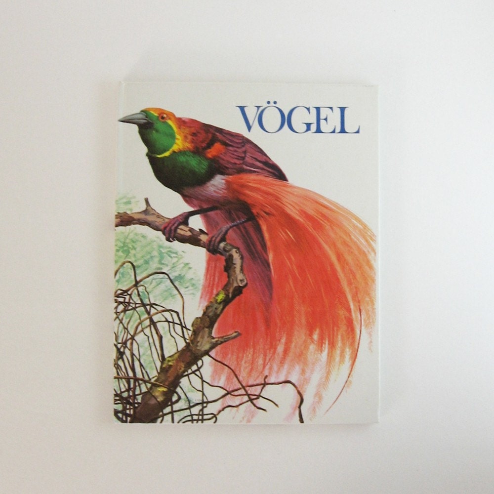 Vögel - Birds - German Vintage Illustrated Large Hardcover Book