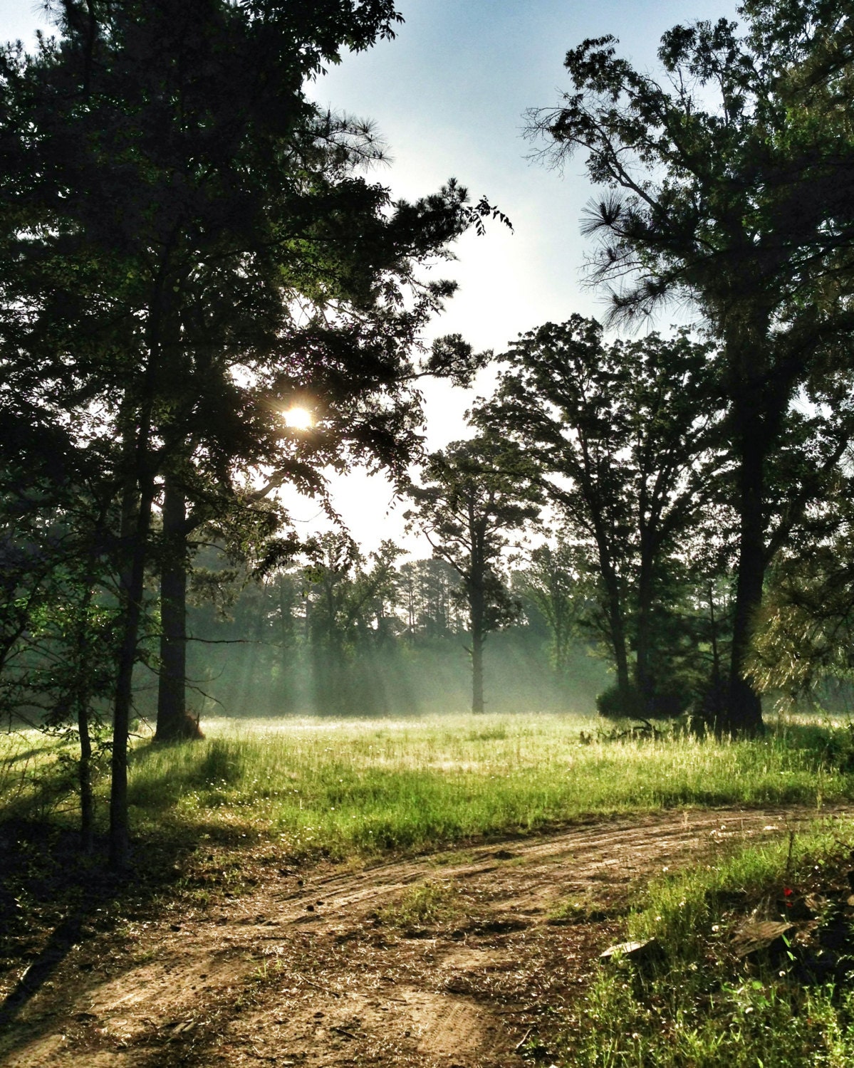 Dawn 8x10 Fine Art Photography Print