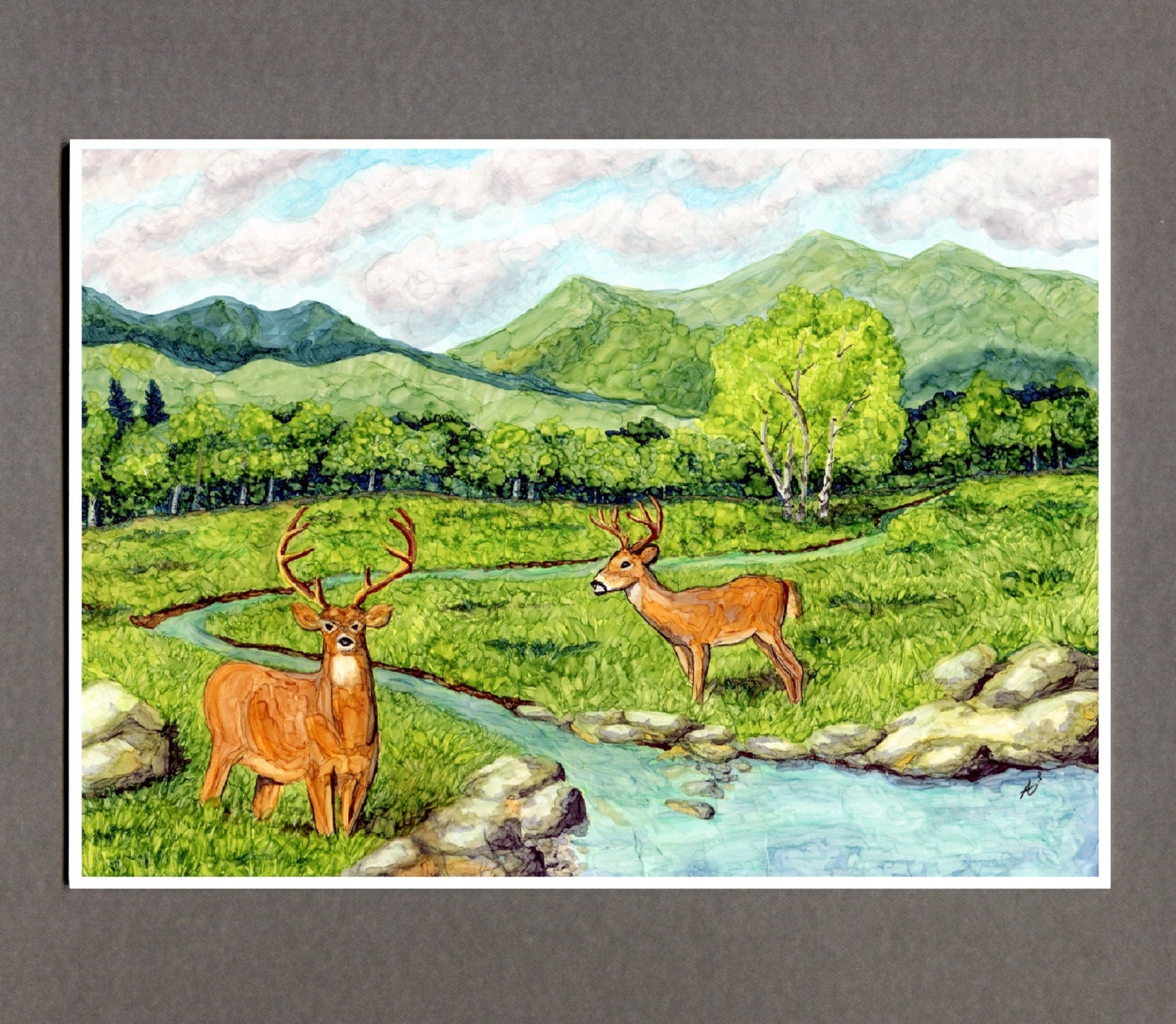 Mountain Meadow Stream Greeting Card, Whitetail Deer 5x7 Father's Day Art Print