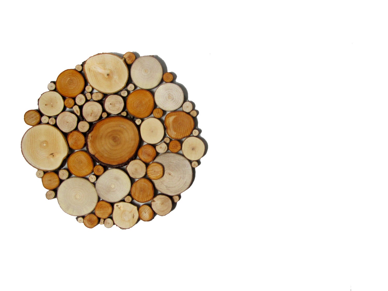 Tree slice Art Rustic Tree slices sculpture Abstract 3d Art wall hanging woodland decor Woods Natural wood Tree bark circular art