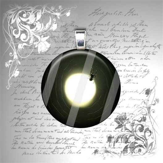 Spider in a Web in the Moonlight - 1 Inch Glass Circle Photo Pendant Necklace