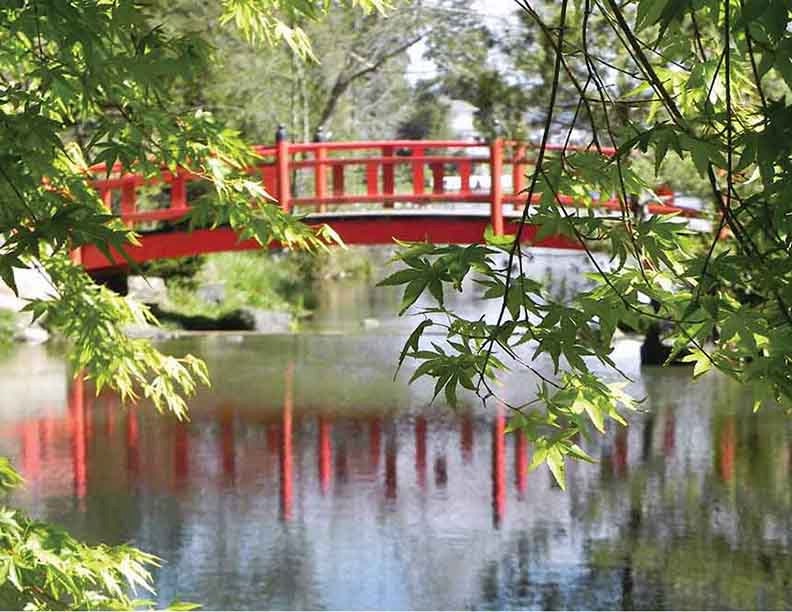 Red Bridge, Lovely Pond, Nature Photograph, Mingus Park, Oregon, Home Decor, 8.5 x 11 Fine Art Print