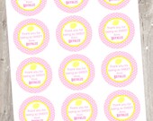 Pink Lemonade Printable Favor Tags, Lemonade Labels, Stickers, Sweet Pink Lemonade Hang Tags