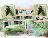 Hope Themed Nature Photography Stationery Cards, Religious Scripture, Any Occasion Greeting Cards