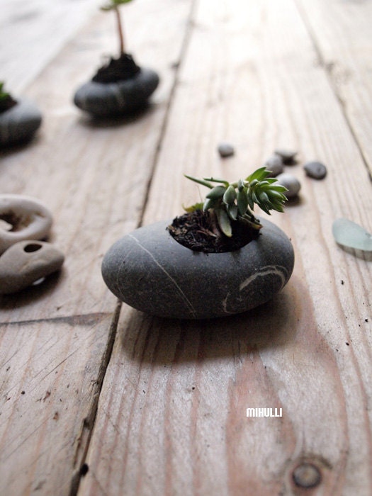 hand engraved sea pebble flower-planter nature home decor beach house style - miniature gardening