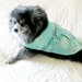 Little Dog's or Cat's Party Dress - Light Aqua Chinese Brocade Made to Order, w/Bow